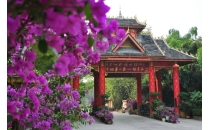西双版纳勐景来景区